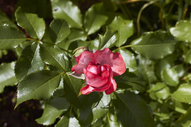 Similar image 5483675