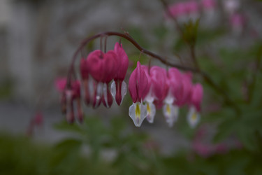 Similar image 5483677