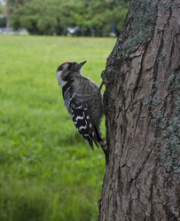 Similar image 5483678