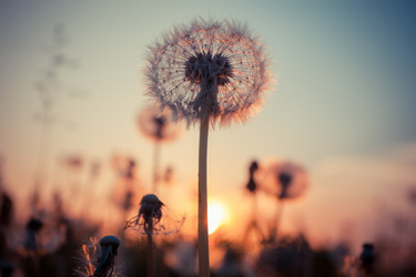 Similar image 5483682