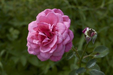 Similar image 5483712