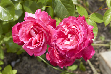 Similar image 5483714