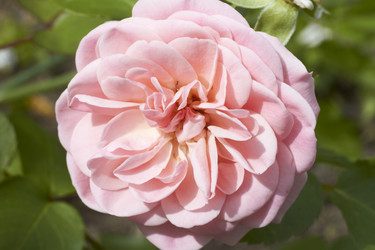 Similar image 5483715