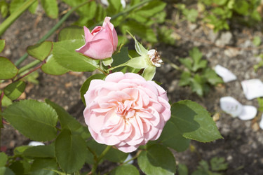 Similar image 5483716