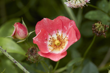 Similar image 5483718