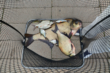 Similar image 5483723