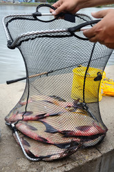 Similar image 5483730