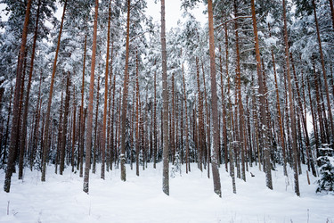 Similar image 5483731