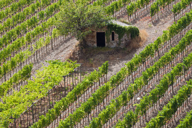 Similar image 5483740