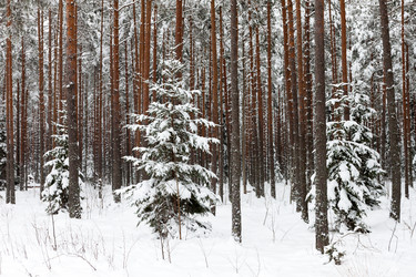 Similar image 5483741