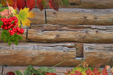 Similar image 5483742