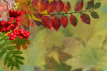 Similar image 5483744