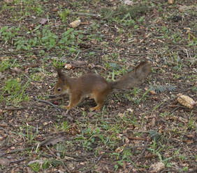 Similar image 5483753