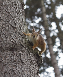 Similar image 5483755