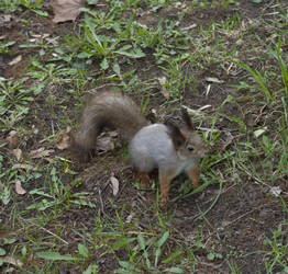 Similar image 5483756