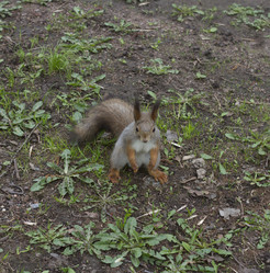 Similar image 5483757