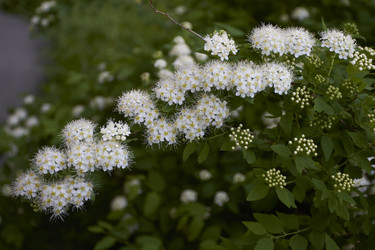 Similar image 5483759