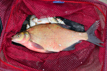 Similar image 5483785