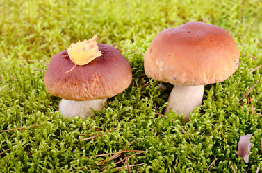 Similar image 5483786