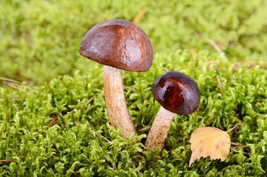 Similar image 5483823