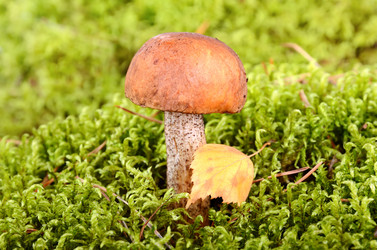 Similar image 5483824