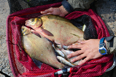 Similar image 5483825