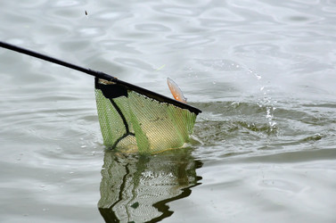 Similar image 5483841