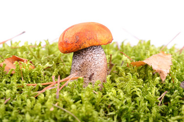 Similar image 5483857