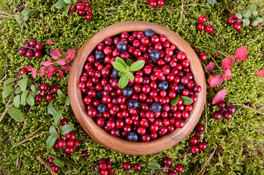 Similar image 5483885