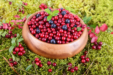 Similar image 5483886