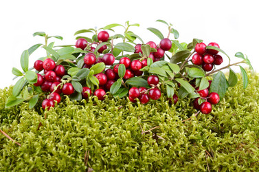 Similar image 5483889