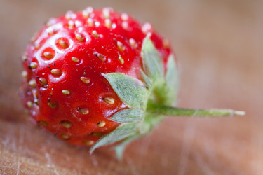 Similar image 5484134