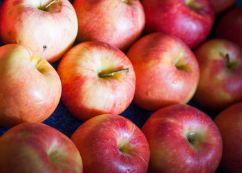 Similar image 5484293