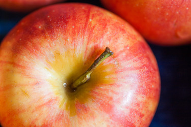 Similar image 5484295