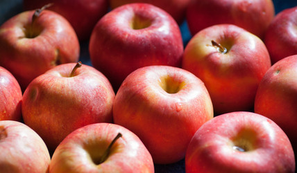 Similar image 5484297