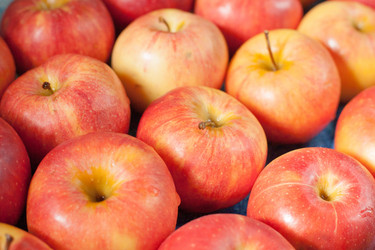 Similar image 5484298