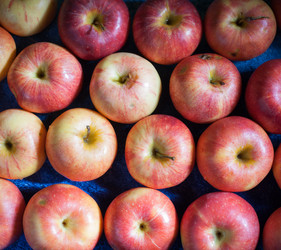 Similar image 5484301