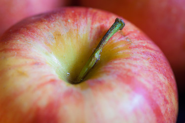 Similar image 5484304