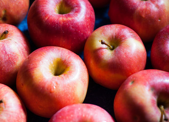 Similar image 5484305