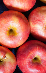 Similar image 5484309