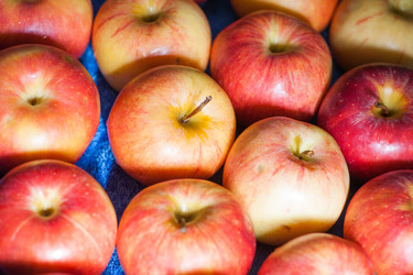 Similar image 5484310