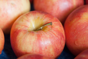 Similar image 5484313