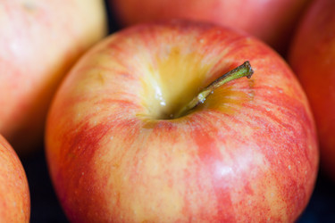 Similar image 5484316