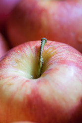 Similar image 5484318