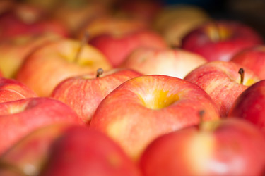 Similar image 5484355