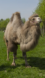 Similar image 5484371