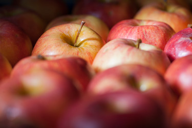 Similar image 5484379