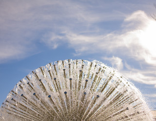 Similar image 5484415