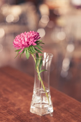 Similar image 5484417