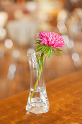 Similar image 5484422